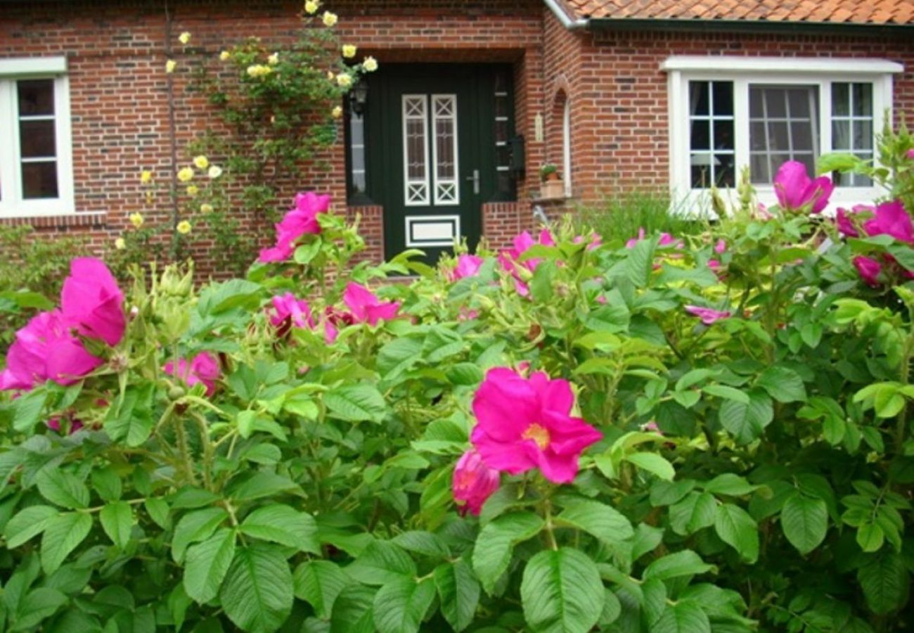 Ferienwohnung in Krummhörn - Veras Kate/Terrasse/Garten/Hunde Willkommen